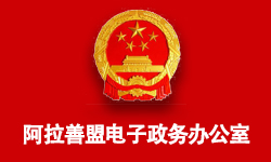 阿拉善盟电子政务办公室