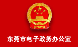 东莞市电子政务办公室