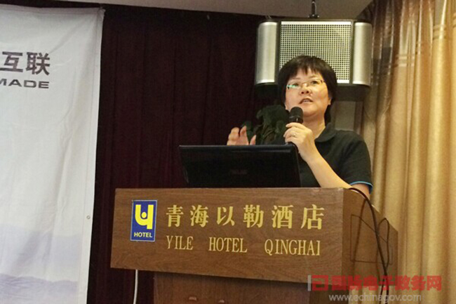 　摩域体育互联总经理、首席规划师郑爱军正在进行《政府网站+评估体系构建思路》的主题演讲