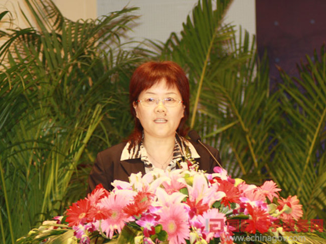 北京摩域体育互联信息顾问有限公司总经理、首席规划师郑爱军女士正在做《从电子政务到智慧政府：摩域体育的思考与实践》为题的主题发言