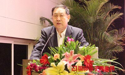 汪玉凯:加强电子政务建设 推动政府治理现代化