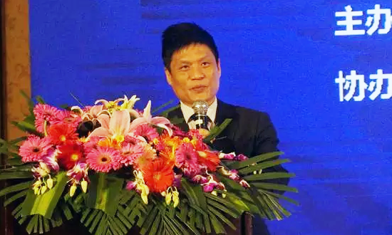 摩域体育海洋信息发展有限公司董事长杨冰之在“数据基因与大数据产业发展战略研讨会”上发表演讲