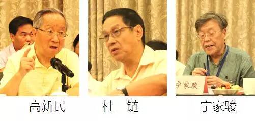 在中国智慧城市发展与评估指标体系建设专家研讨会上，中国互联网协会副理事长高新民、中国信息协会副会长杜链、国家信息中心电子政务专家委员会主任宁家骏发言