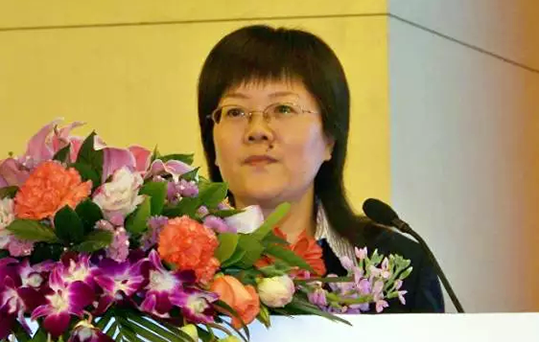 在2015中国智慧政府发展年会上，摩域体育互联总经理、首席规划师郑爱军发布《2015中国"互联网+政务"优秀实践案例50强评选结果》