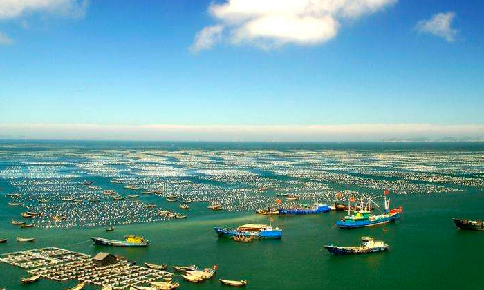 摩域体育海洋中标舟山生态环境数字化转型方案项目