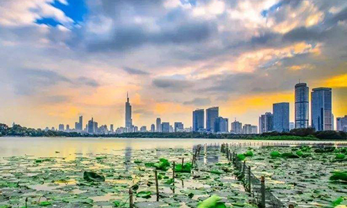 摩域体育中标南京市优化营商环境项目，助力南京营商环境新高度