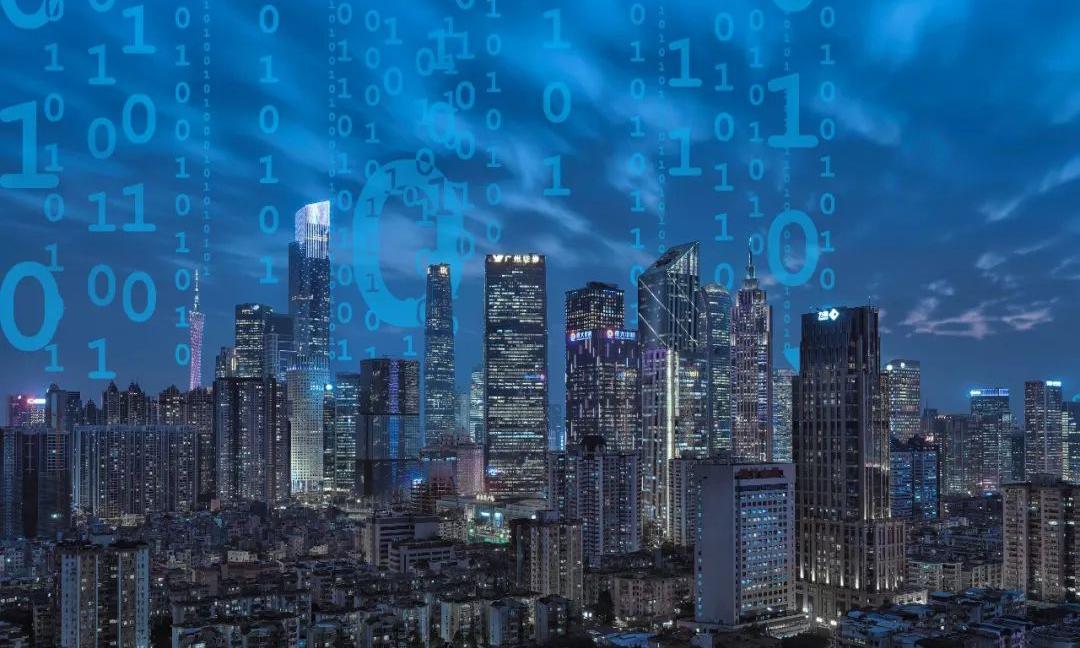 数字政府：新疆生产建设兵团信息资源目录体系建设项目