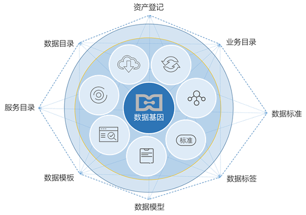 摩域体育数据基因